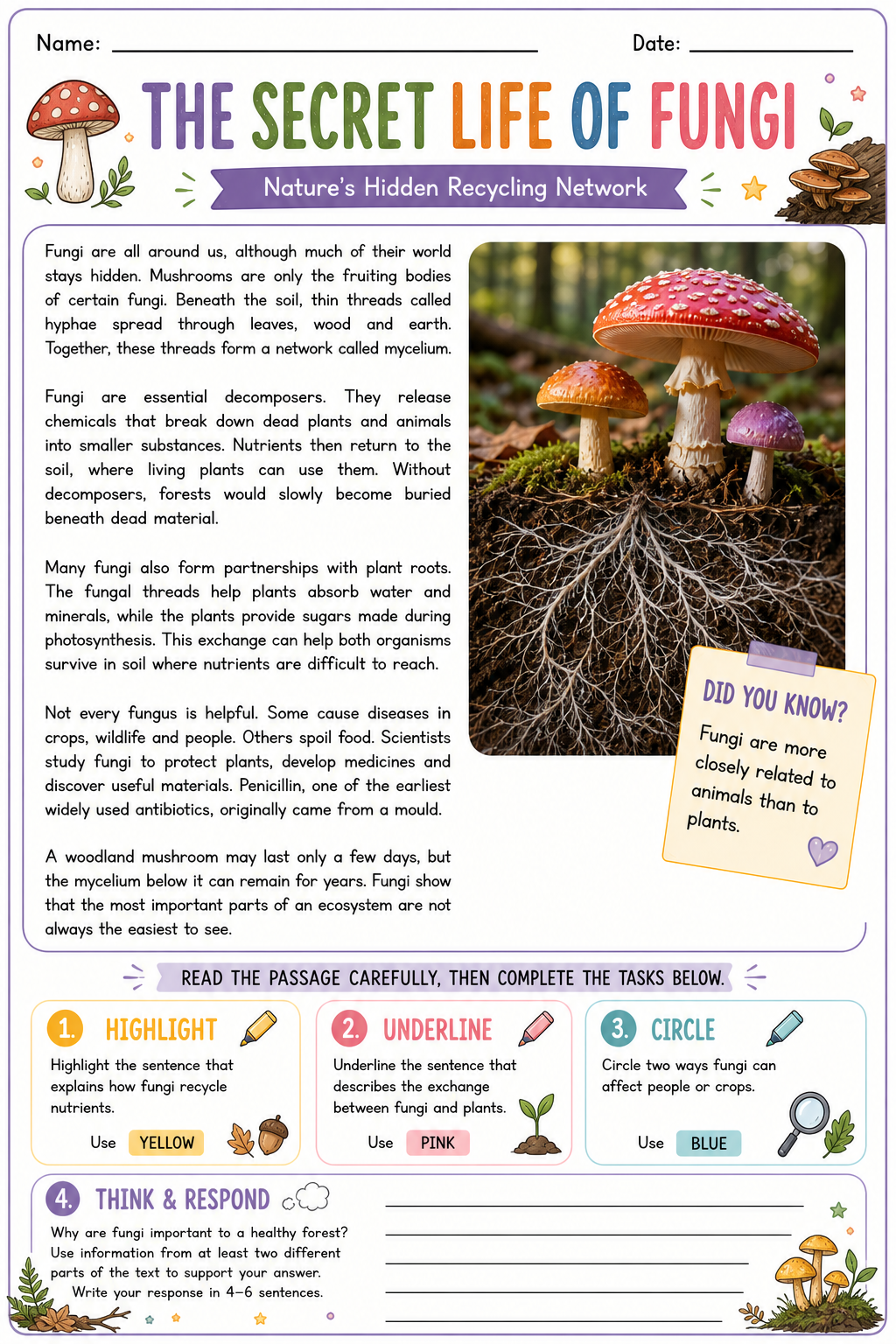 Preview of Comprehension — Text Highlighting 5 (Upper)